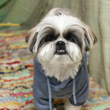 Entry image for Gilbert