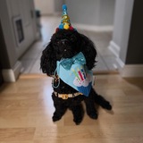 Entry image for Kimchi