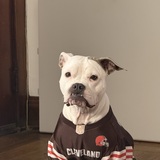 Entry image for Josie 