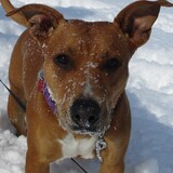 Entry image for Sunny