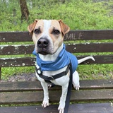 Entry image for Bentley