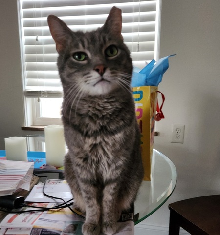 Entry image for Coleman. Clicking this image will show a larger photo