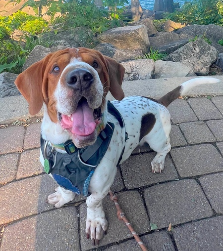 Entry image for FLOYD. Clicking this image will show a larger photo