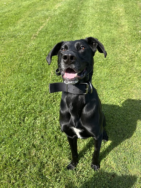 Entry image for Gas. Clicking this image will show a larger photo