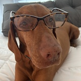 Entry image for Remo