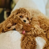 Entry image for Sunnie & Winnie