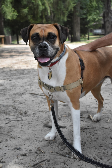 Entry image for Quinny. Clicking this image will show a larger photo