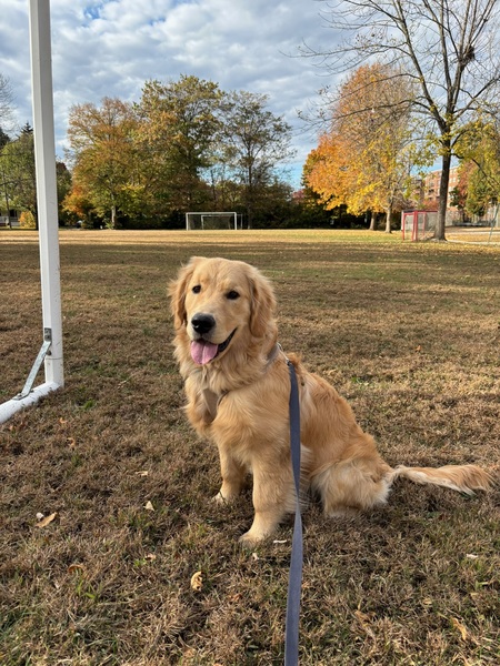 Entry image for Rory McIlruff. Clicking this image will show a larger photo