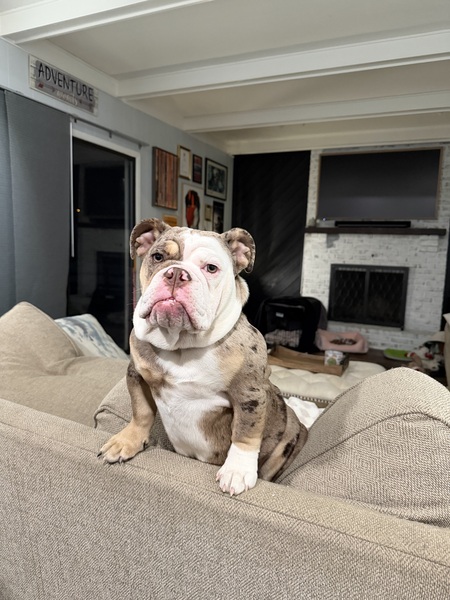 Entry image for Gabbie. Clicking this image will show a larger photo