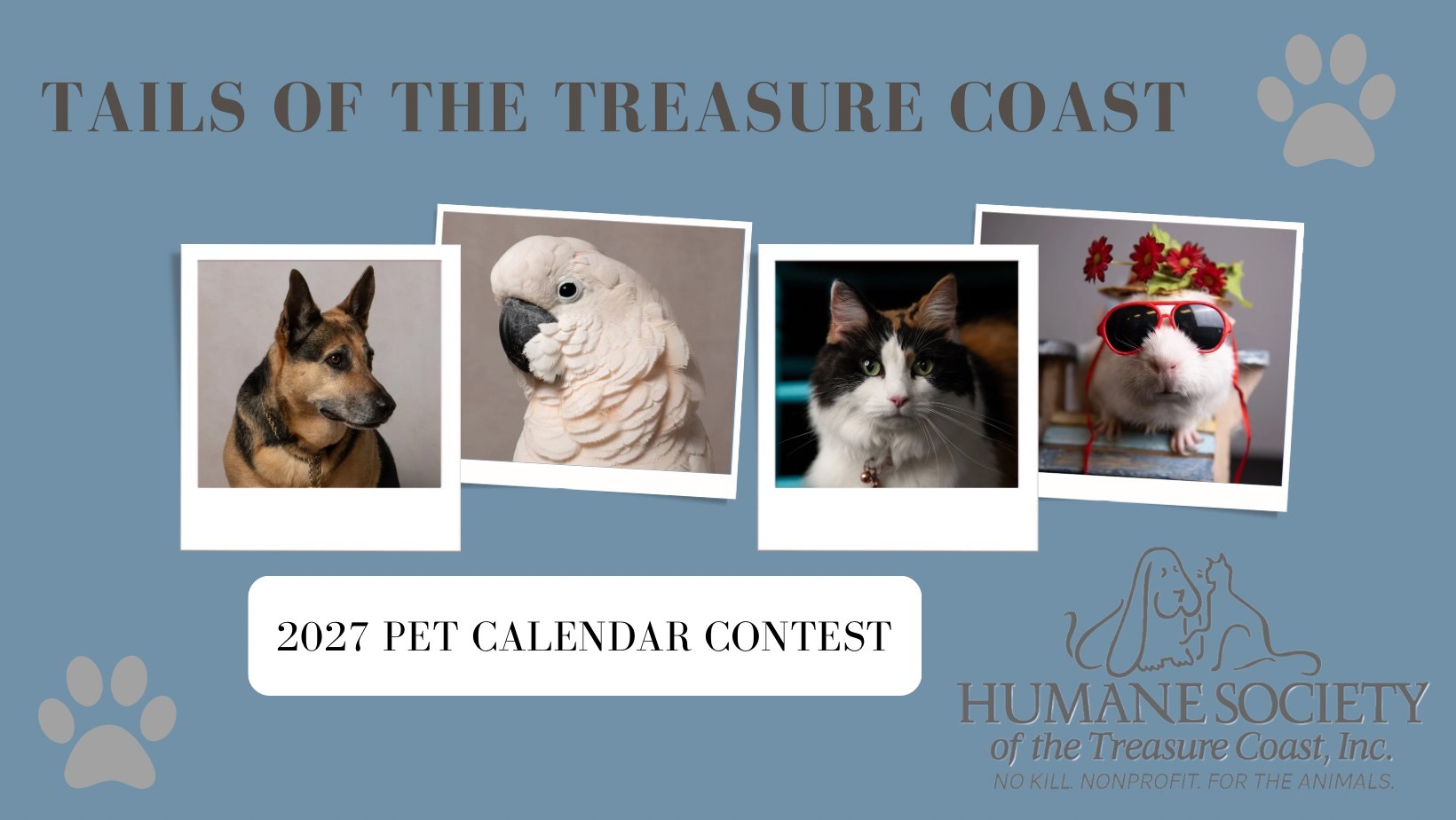 Banner for Tails of the Treasure Coast 2027 Pet Calendar Contest
