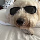 Entry image for Marlee