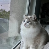 Entry image for Mr. Mojo