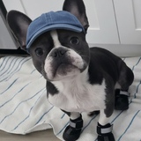 Entry image for Barry