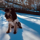 Entry image for Roman