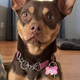 Entry image for Hazel Ava Rosario