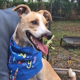 Entry image for Astro