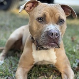 Entry image for Sister 