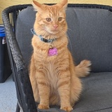 Entry image for Crowley Canton Delaware III 