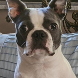 Entry image for Addie