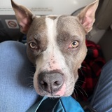 Entry image for Malone 