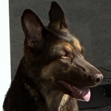 Entry image for Georgi