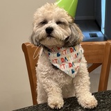 Entry image for Henry