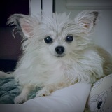 Entry image for Lilah