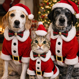 Entry image for Dallas & Chloe & Paisley