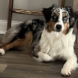 Entry image for Violet