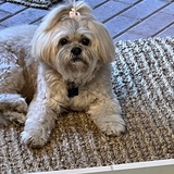 Entry image for Tula