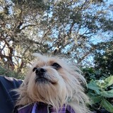 Entry image for Gracie 