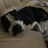 Entry image for DIESEL