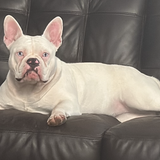 Entry image for Ella