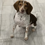 Entry image for Zoey