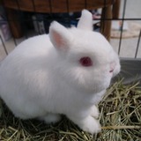 Entry image for Angie