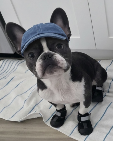 Entry image for Barry. Clicking this image will show a larger photo