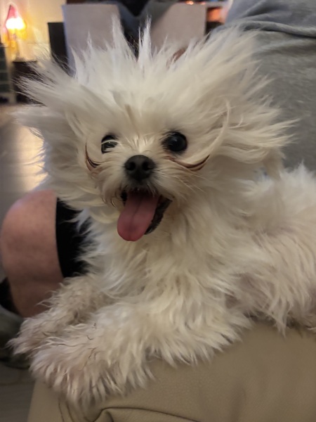 Entry image for Noodles. Clicking this image will show a larger photo