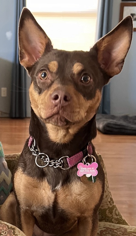 Entry image for Hazel Ava Rosario. Clicking this image will show a larger photo