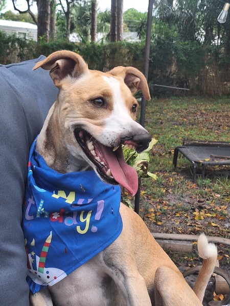 Entry image for Astro. Clicking this image will show a larger photo