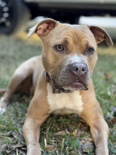 Entry image for Sister . Clicking this image will show a larger photo