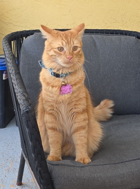 Entry image for Crowley Canton Delaware III . Clicking this image will show a larger photo