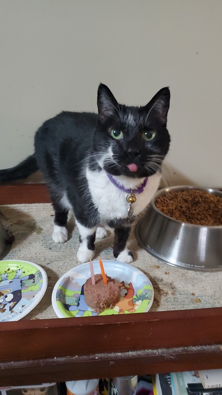 Entry image for Venom. Clicking this image will show a larger photo