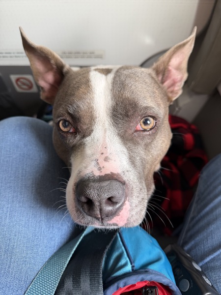 Entry image for Malone . Clicking this image will show a larger photo