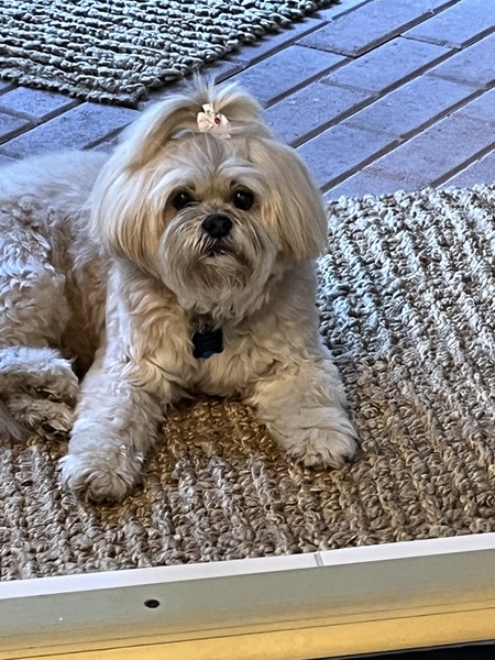 Entry image for Tula. Clicking this image will show a larger photo