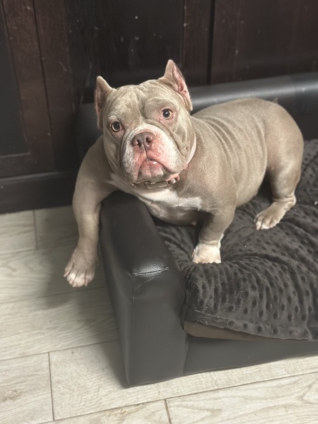 Entry image for Isa . Clicking this image will show a larger photo