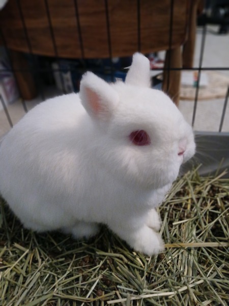 Entry image for Angie. Clicking this image will show a larger photo