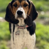 Entry image for Molly