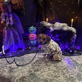 Entry image for Chelly