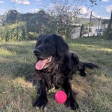 Entry image for Tucker