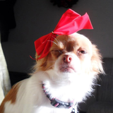 Entry image for Mimi